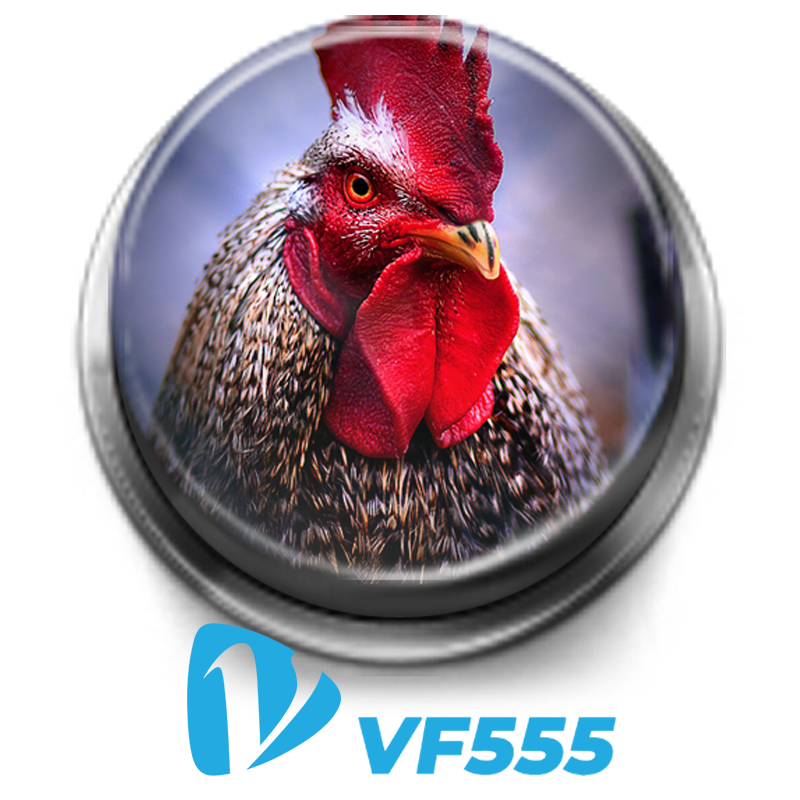 ĐÁ GÀ 1 | VF555 Đá Gà VF555